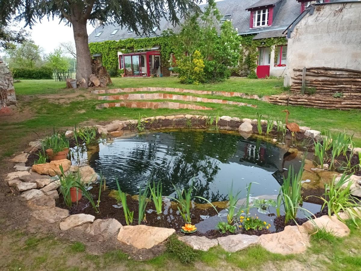 Gite En Bord De Loire Blaison-Saint-Sulpice Zewnętrze zdjęcie